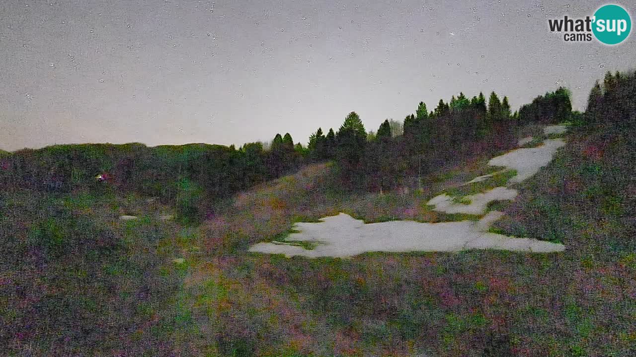 Webcam Smučišče Senožeta – Ski Resort Live View near Bohinj