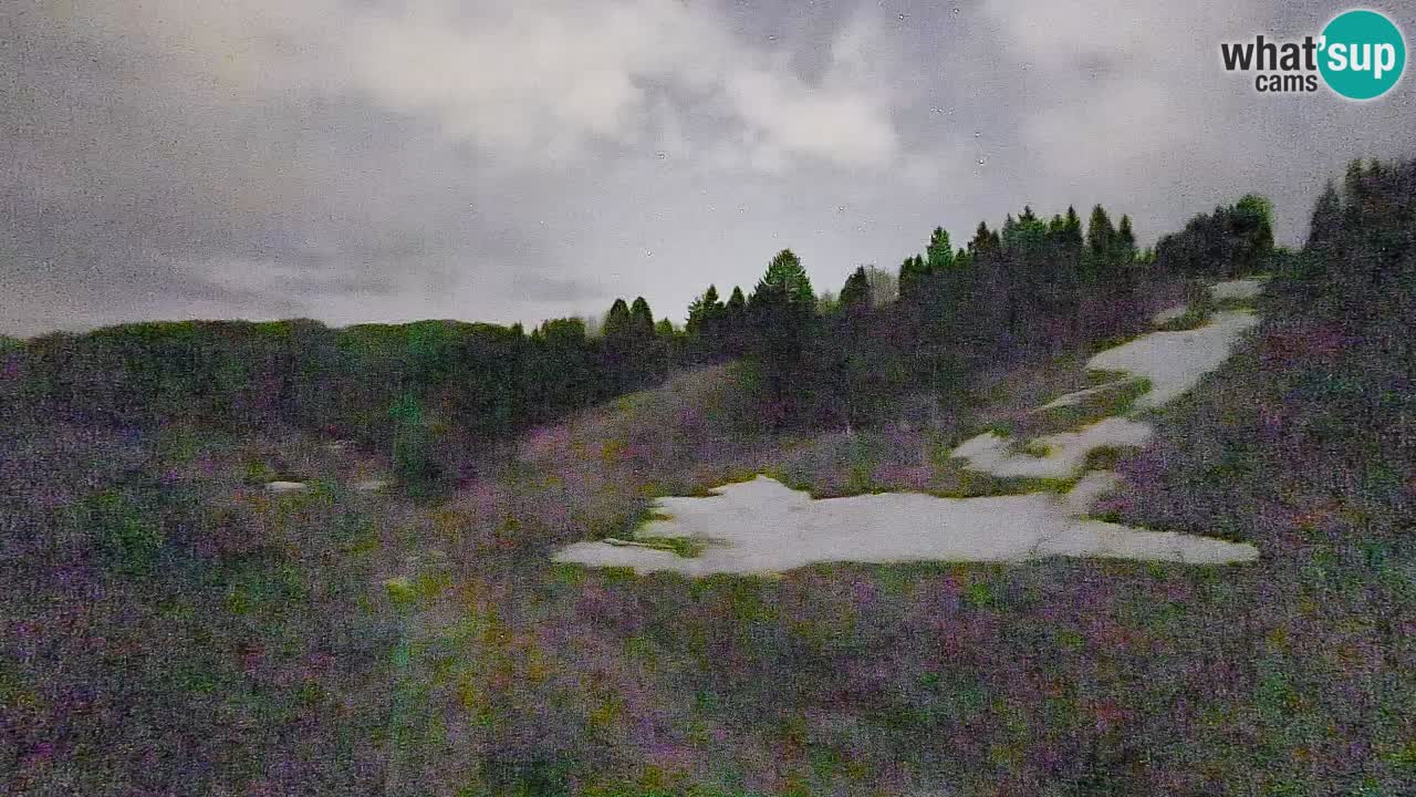 Webcam Smučišče Senožeta – Ski Resort Live View near Bohinj