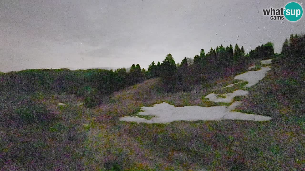 Webcam Smučišče Senožeta – Ski Resort Live View near Bohinj