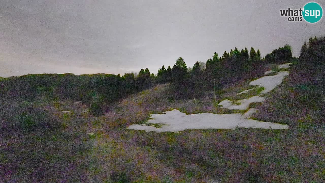 Webcam Smučišče Senožeta – Ski Resort Live View near Bohinj