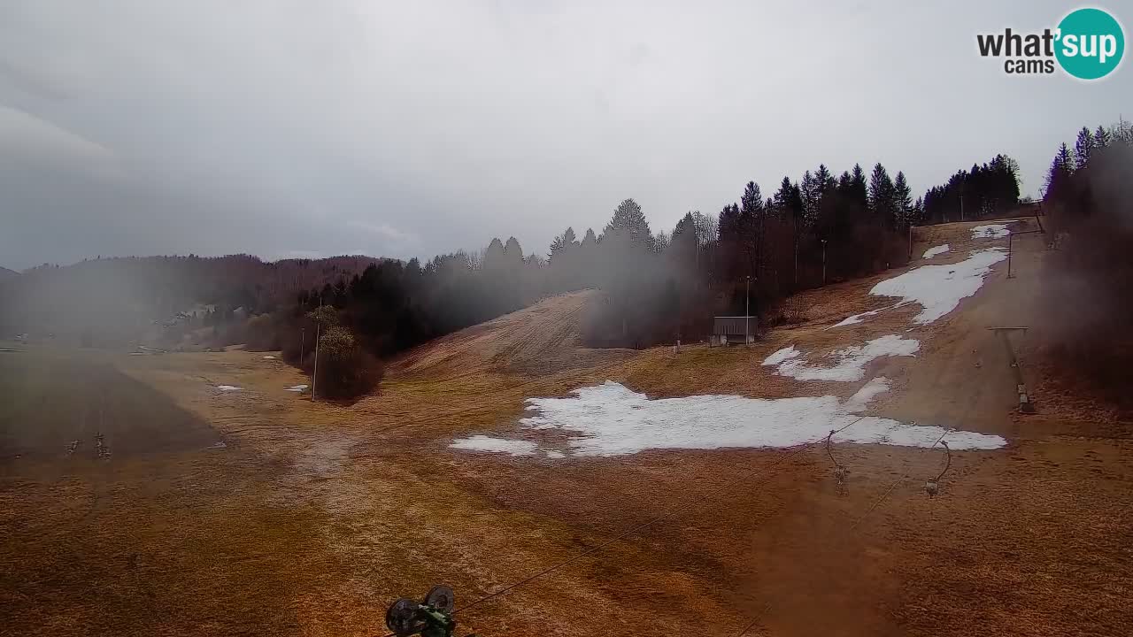Webcam Smučišče Senožeta – Ski Resort Live View near Bohinj