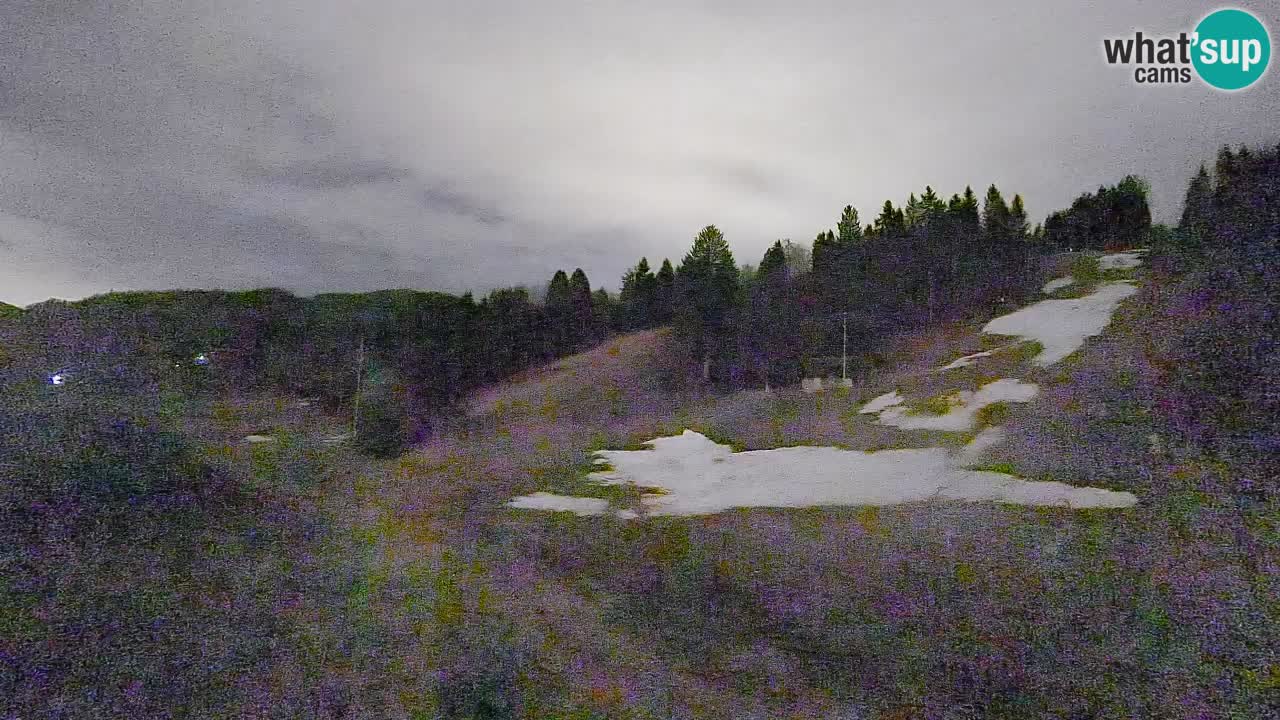 Webcam Smučišče Senožeta – Skigebiet in Srednja Vas bei Bohinj