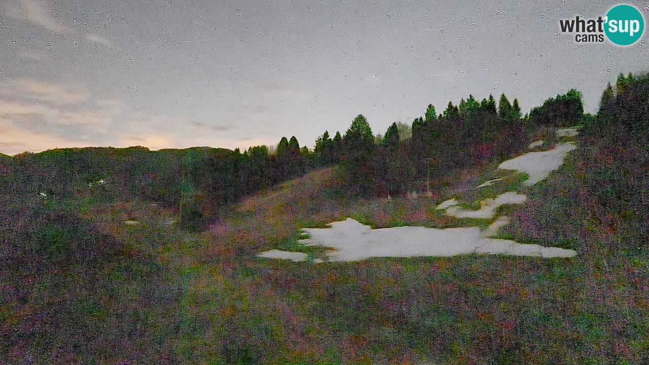 Webcam Smučišče Senožeta – Ski Resort Live View near Bohinj