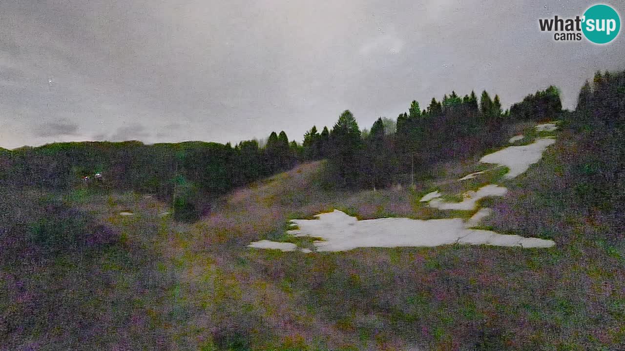 Webcam Smučišče Senožeta – Ski Resort Live View near Bohinj