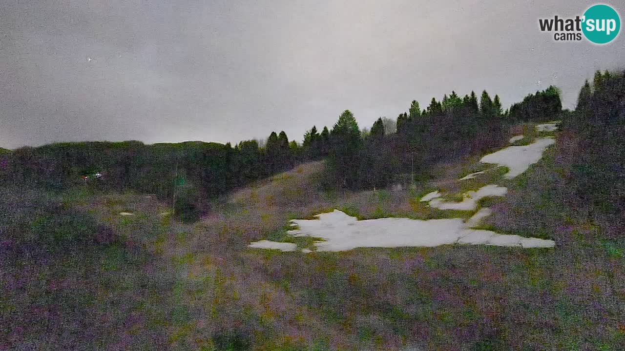 Webcam Smučišče Senožeta – Ski Resort Live View near Bohinj