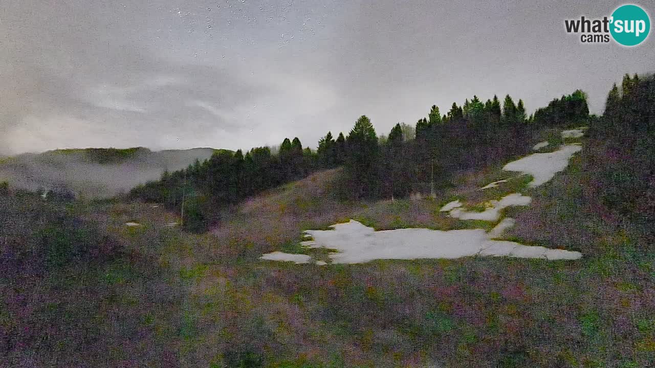 Webcam Smučišče Senožeta – Ski Resort Live View near Bohinj