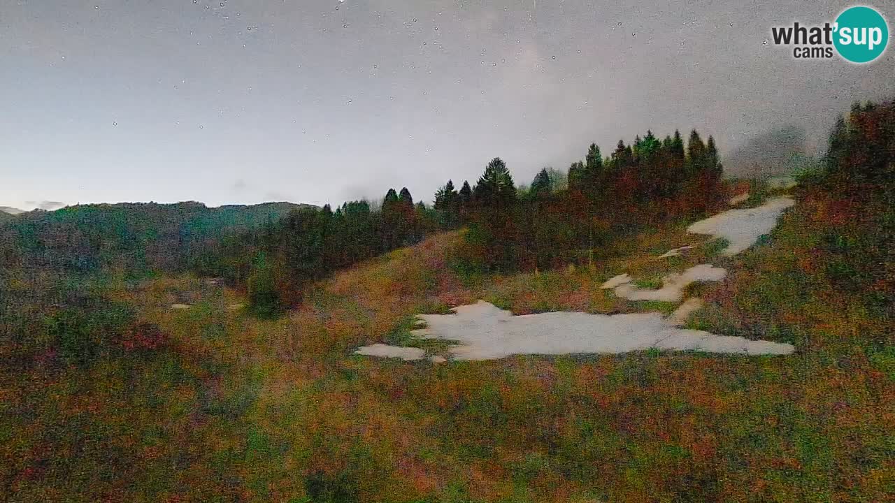 Spletna kamera Smučišče Senožeta – smučarsko središče v Srednji vasi pri Bohinju