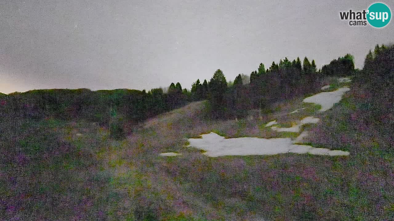 Webcam Smučišče Senožeta – Skigebiet in Srednja Vas bei Bohinj