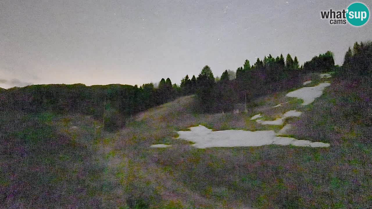 Spletna kamera Smučišče Senožeta – smučarsko središče v Srednji vasi pri Bohinju