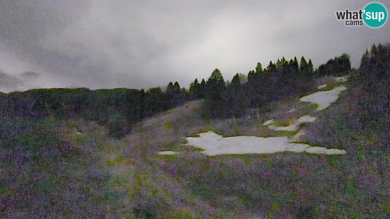 Webcam Smučišče Senožeta – Ski Resort Live View near Bohinj