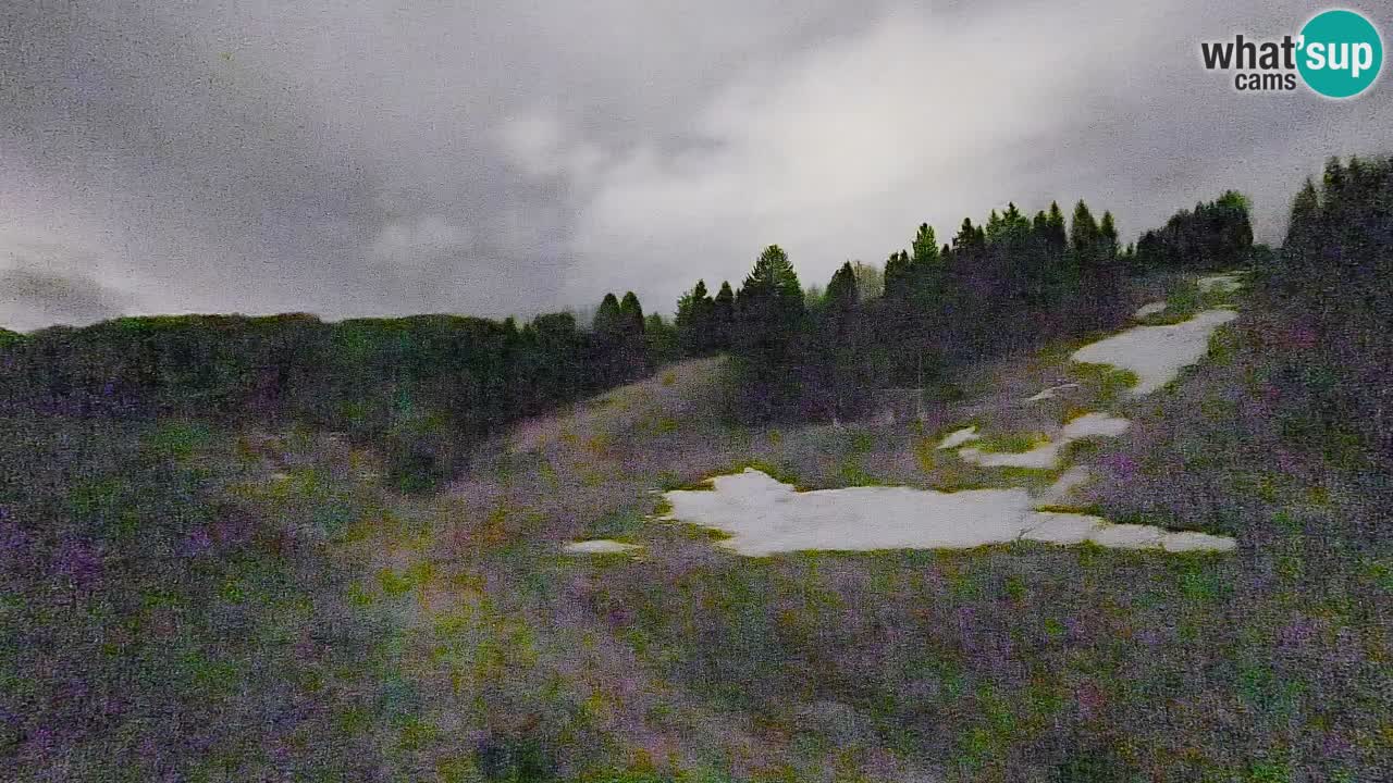 Spletna kamera Smučišče Senožeta – smučarsko središče v Srednji vasi pri Bohinju