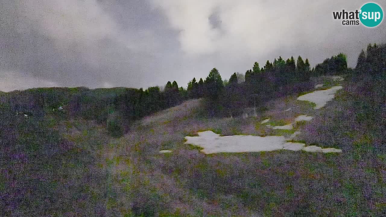 Spletna kamera Smučišče Senožeta – smučarsko središče v Srednji vasi pri Bohinju