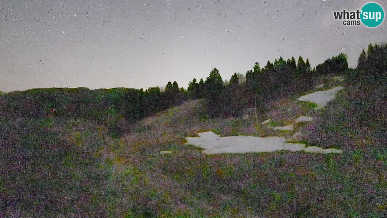 Webcam Smučišče Senožeta – Ski Resort Live View near Bohinj