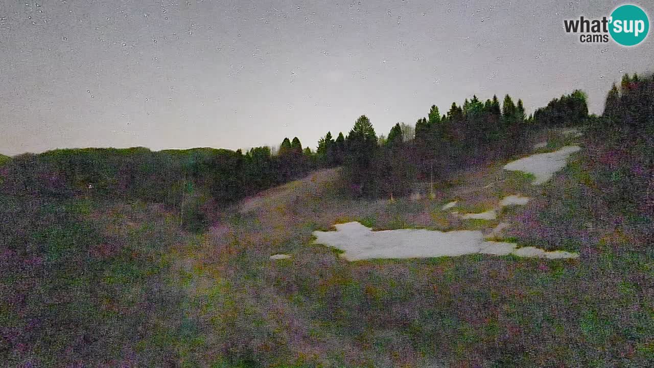 Webcam Smučišče Senožeta – Ski Resort Live View near Bohinj