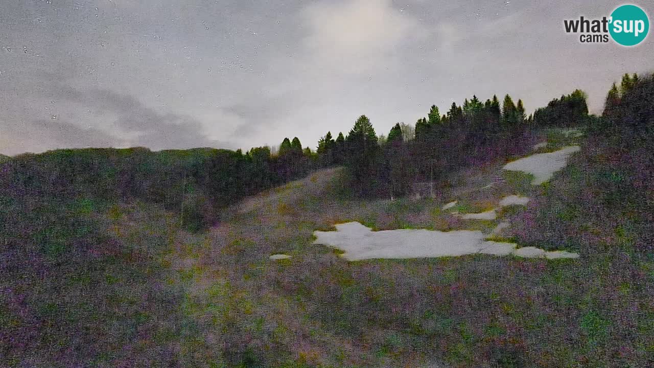 Cámara web Smučišče Senožeta – Estación de esquí en Srednja Vas cerca de Bohinj