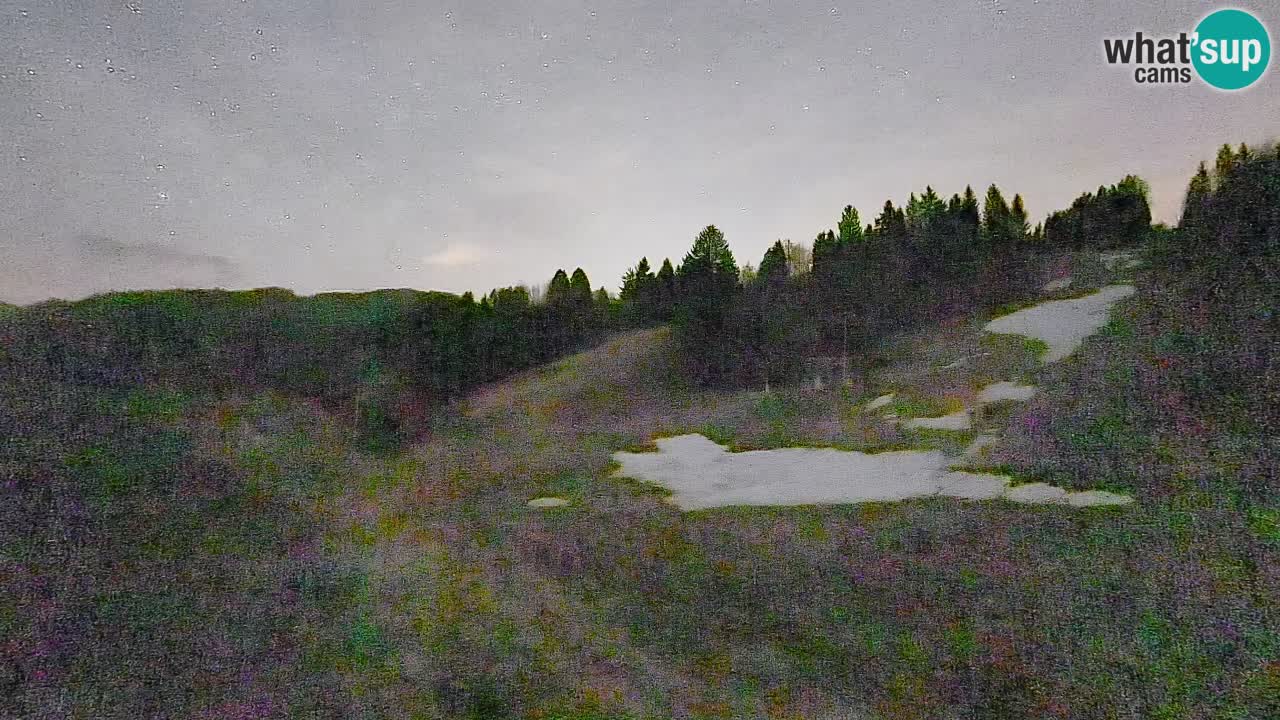 Spletna kamera Smučišče Senožeta – smučarsko središče v Srednji vasi pri Bohinju