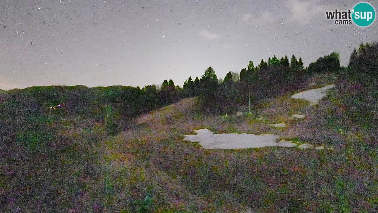 Webcam Smučišče Senožeta – Ski Resort Live View near Bohinj