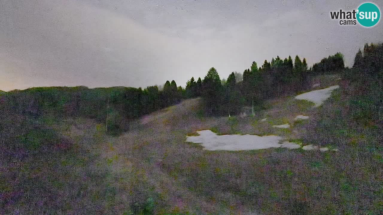 Webcam Smučišče Senožeta – Ski Resort Live View near Bohinj