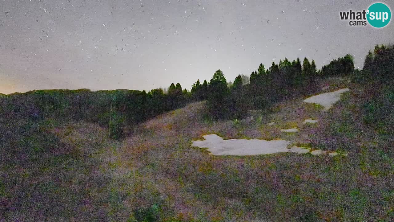 Webcam Smučišče Senožeta – Ski Resort Live View near Bohinj