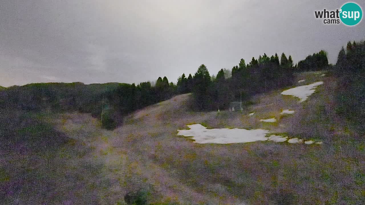 Webcam Smučišče Senožeta – Ski Resort Live View near Bohinj