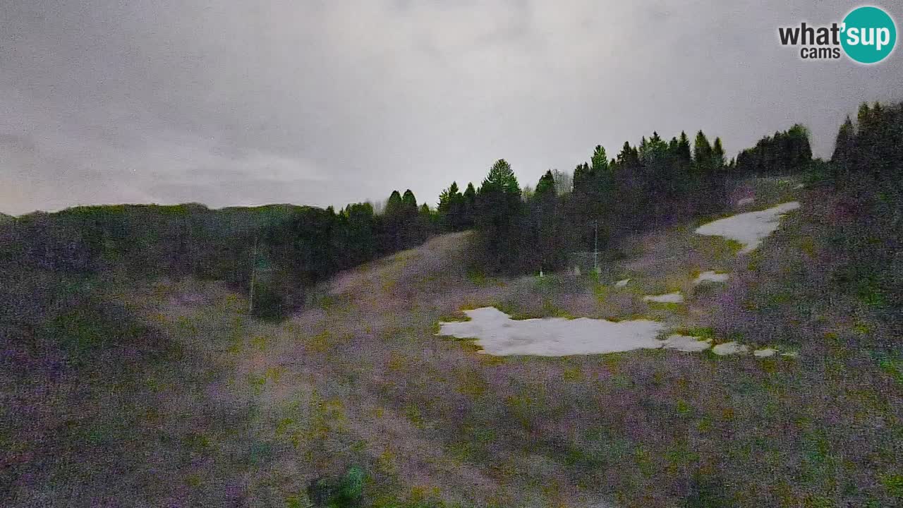 Webcam Smučišče Senožeta – Ski Resort Live View near Bohinj