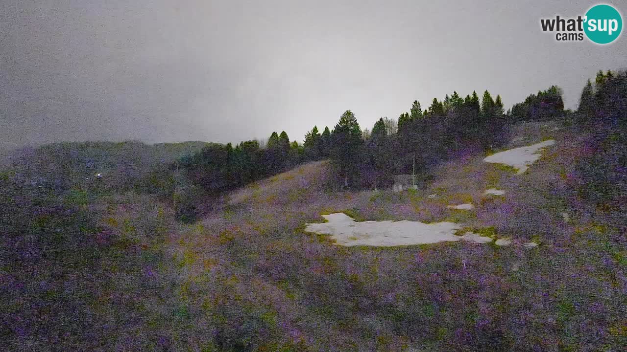 Webcam Smučišče Senožeta – Skigebiet in Srednja Vas bei Bohinj