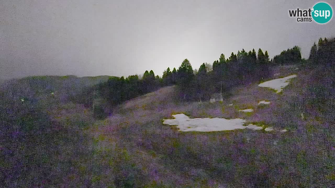 Webcam Smučišče Senožeta – Stazione sciistica a Srednja Vas vicino Bohinj