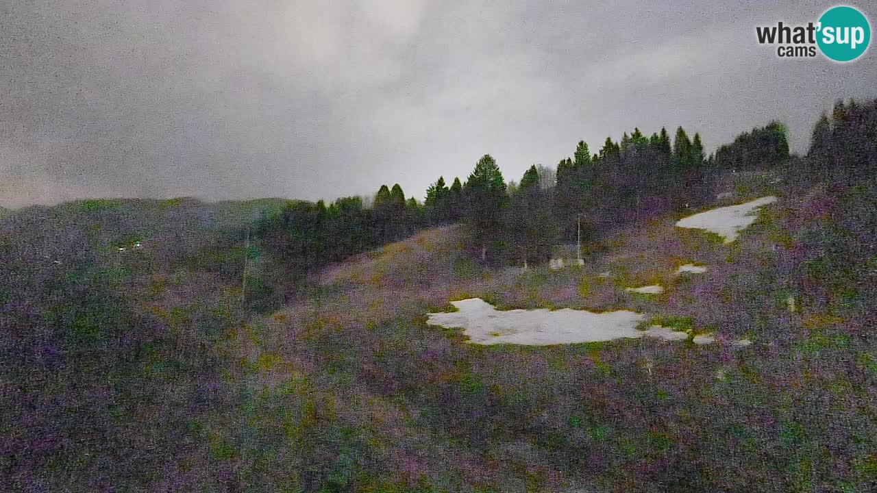Web kamera Smučišče Senožeta – Skijalište u Srednjoj Vasi kod Bohinja