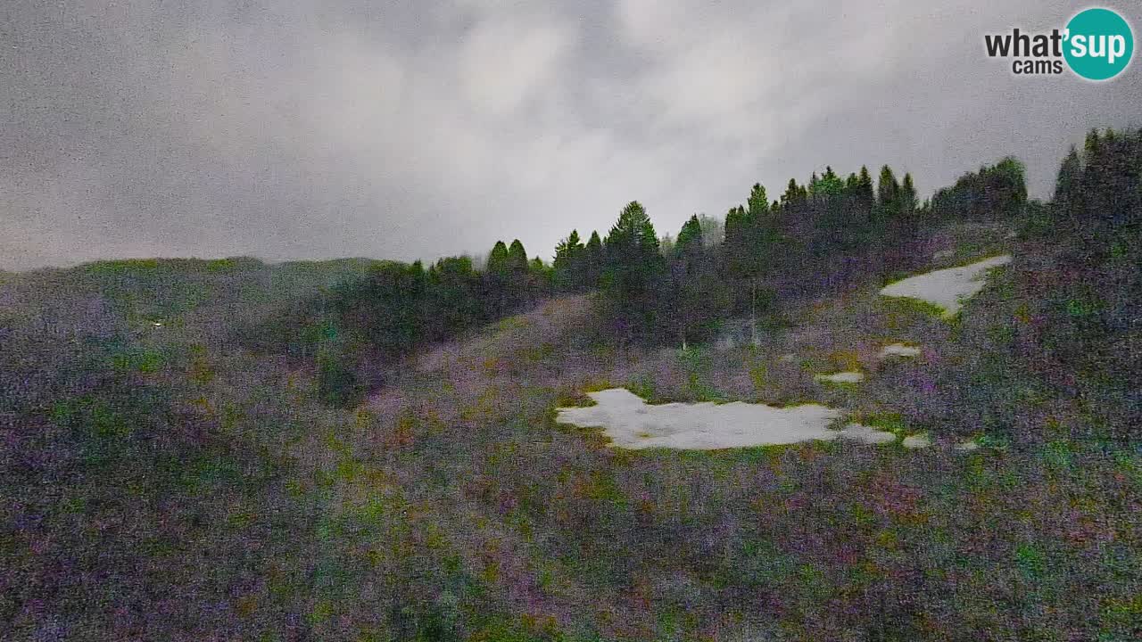 Webcam Smučišče Senožeta – Skigebiet in Srednja Vas bei Bohinj