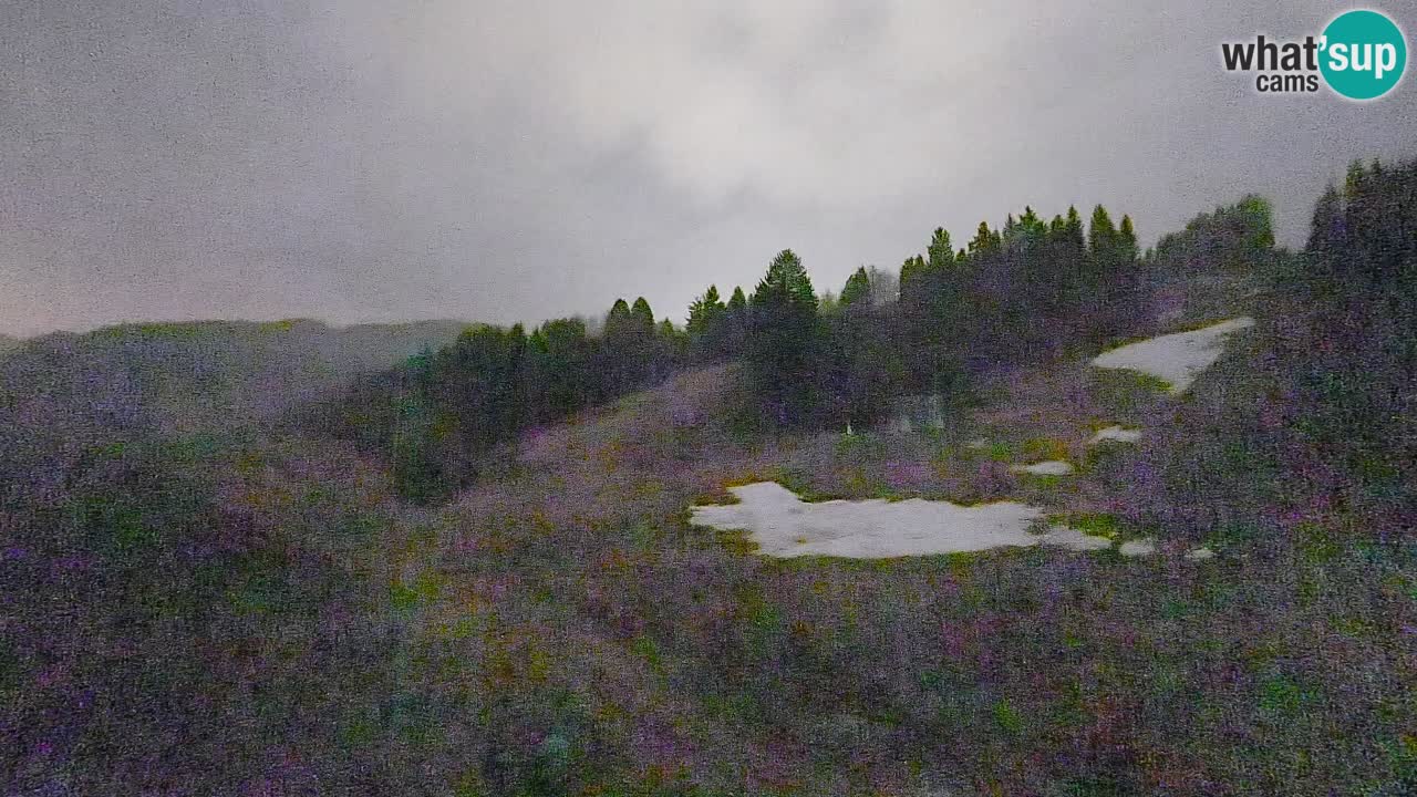 Cámara web Smučišče Senožeta – Estación de esquí en Srednja Vas cerca de Bohinj