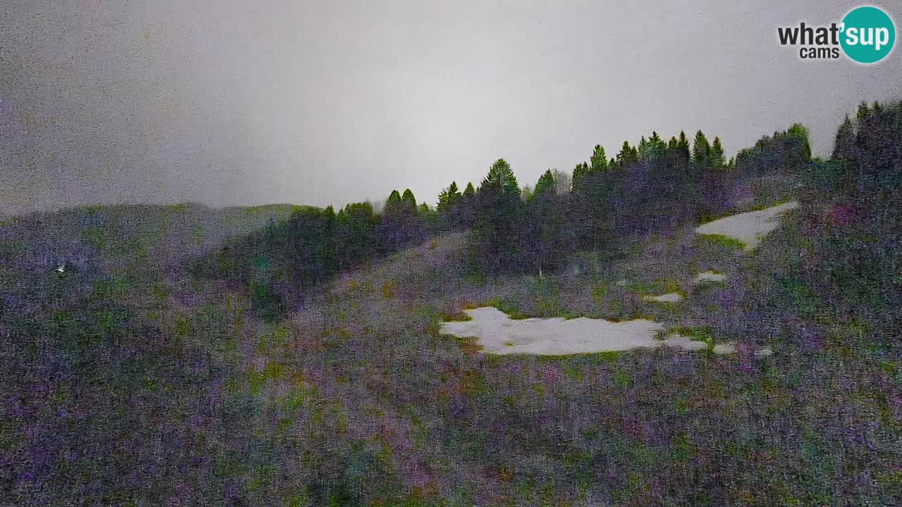 Webcam Smučišče Senožeta – Ski Resort Live View near Bohinj