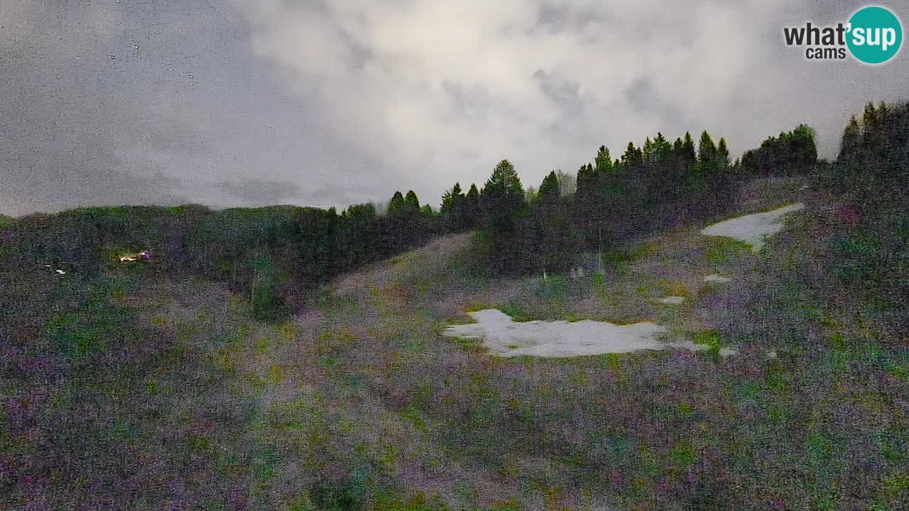 Spletna kamera Smučišče Senožeta – smučarsko središče v Srednji vasi pri Bohinju