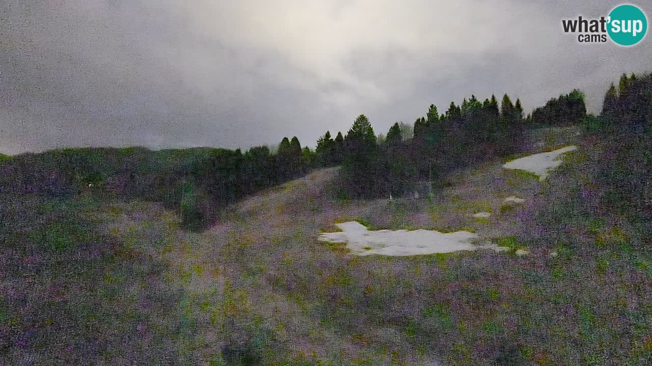 Web kamera Smučišče Senožeta – Skijalište u Srednjoj Vasi kod Bohinja