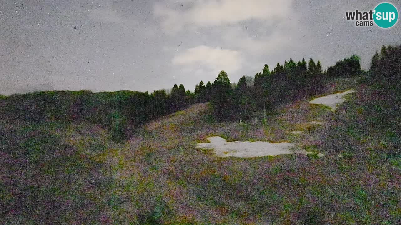 Webcam Smučišče Senožeta – Stazione sciistica a Srednja Vas vicino Bohinj
