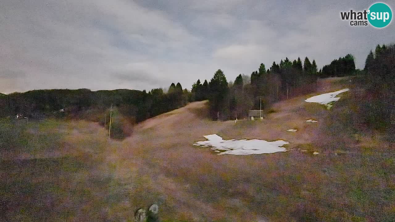 Webcam Smučišče Senožeta – Ski Resort Live View near Bohinj