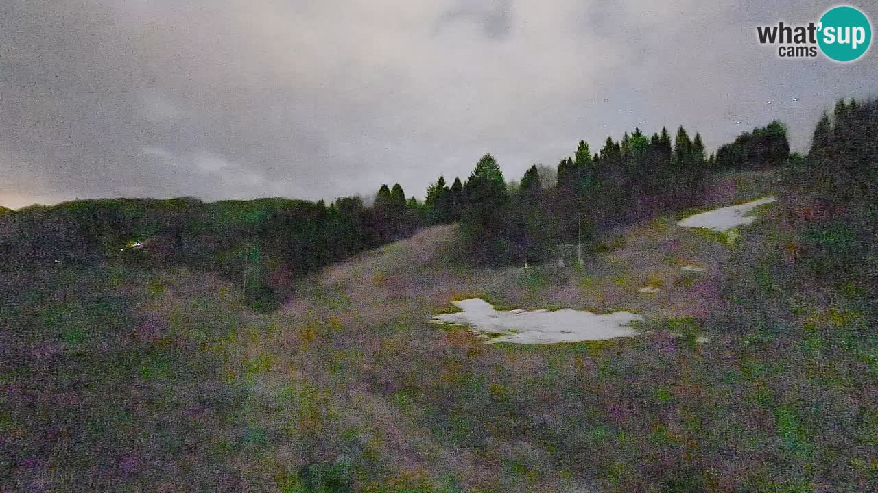 Webcam Smučišče Senožeta – Skigebiet in Srednja Vas bei Bohinj