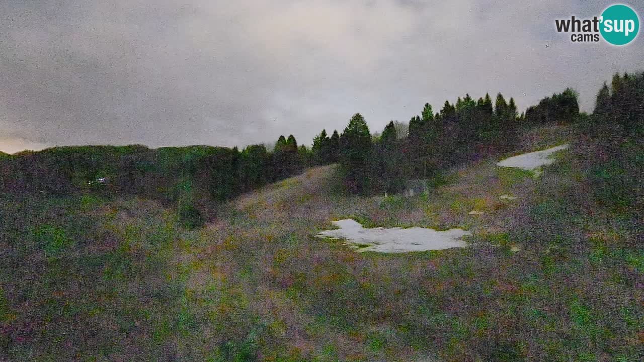 Webcam Smučišče Senožeta – Skigebiet in Srednja Vas bei Bohinj