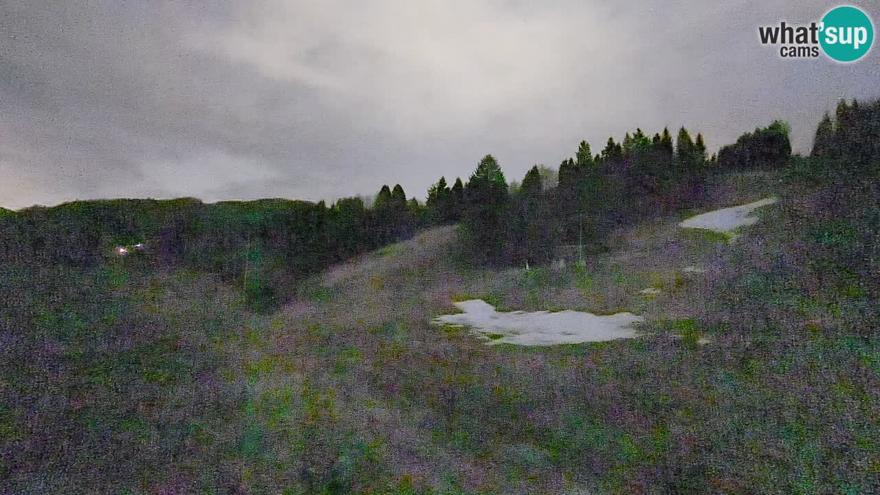 Webcam Smučišče Senožeta – Skigebiet in Srednja Vas bei Bohinj