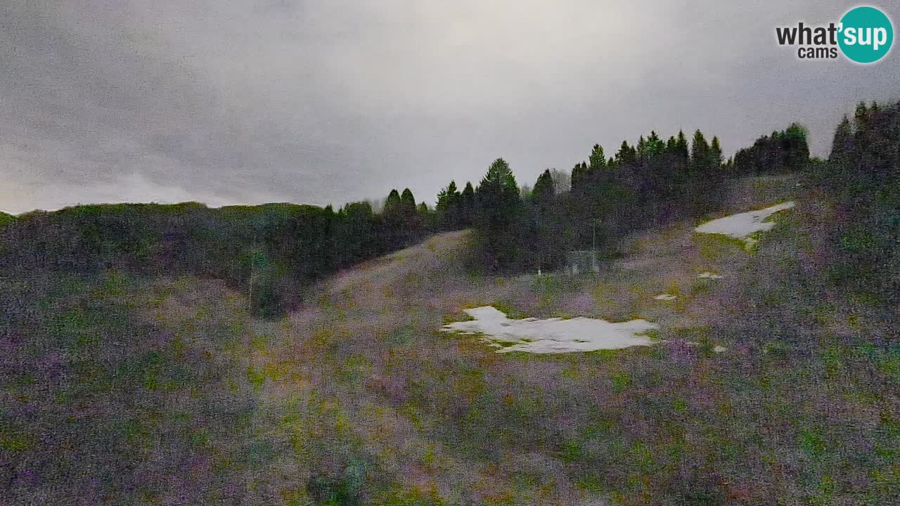 Webcam Smučišče Senožeta – Skigebiet in Srednja Vas bei Bohinj