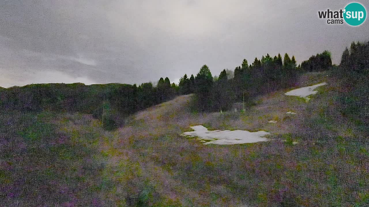 Webcam Smučišče Senožeta – Ski Resort Live View near Bohinj