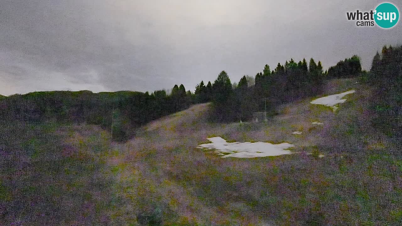 Webcam Smučišče Senožeta – Ski Resort Live View near Bohinj