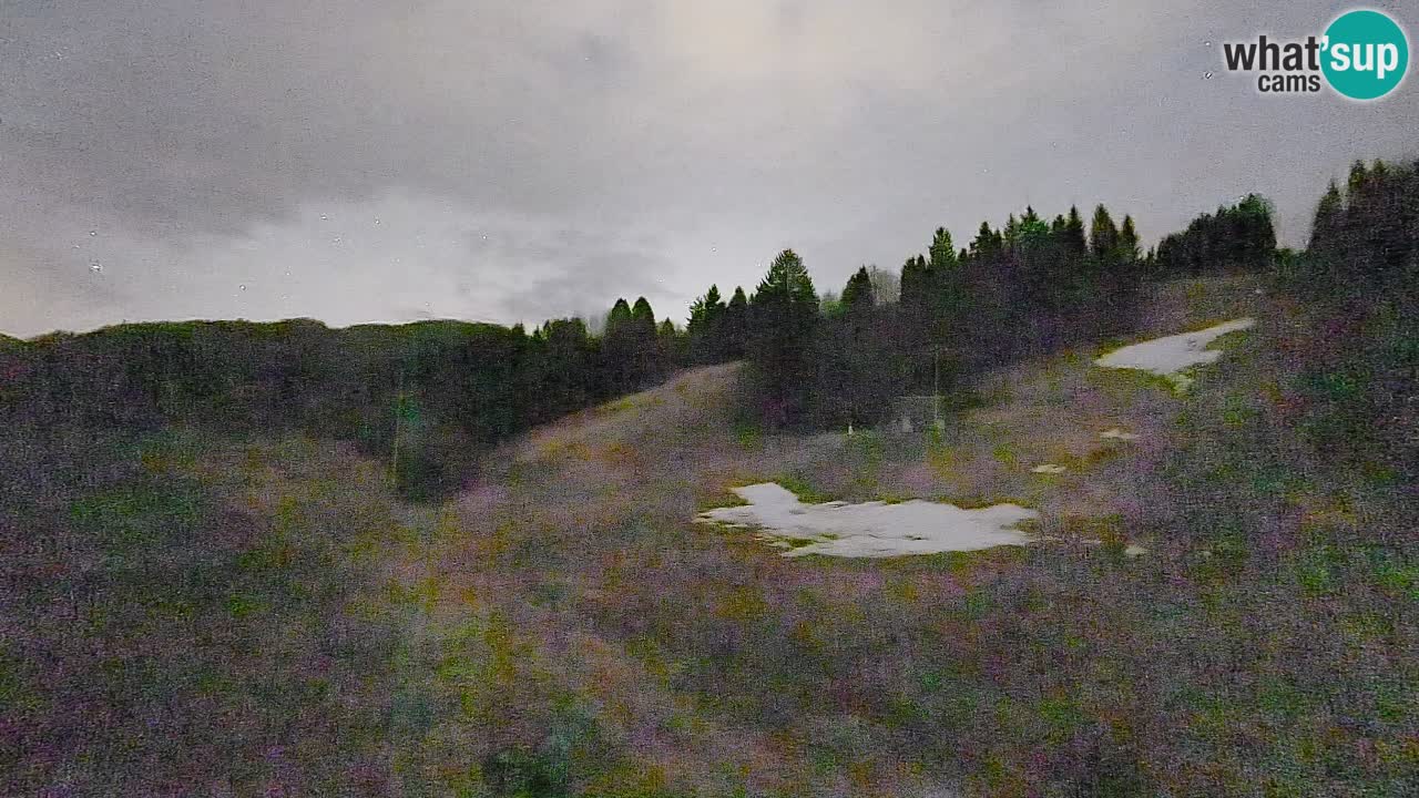 Webcam Smučišče Senožeta – Ski Resort Live View near Bohinj