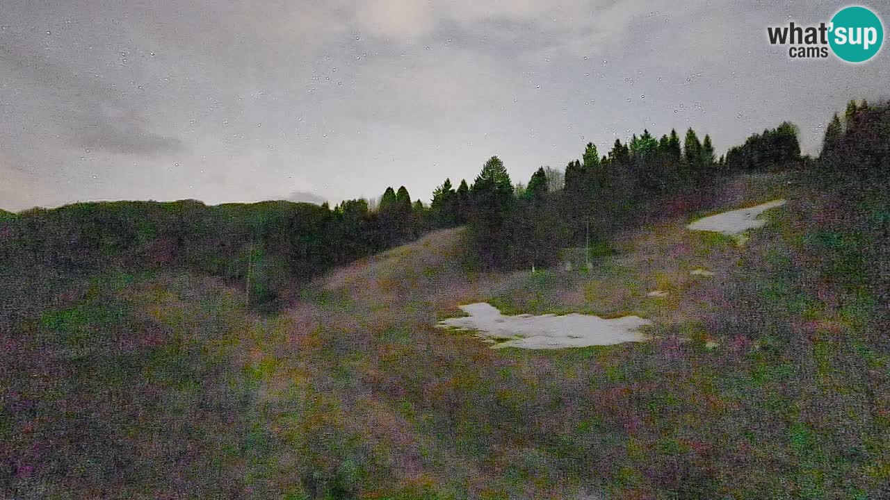 Webcam Smučišče Senožeta – Stazione sciistica a Srednja Vas vicino Bohinj