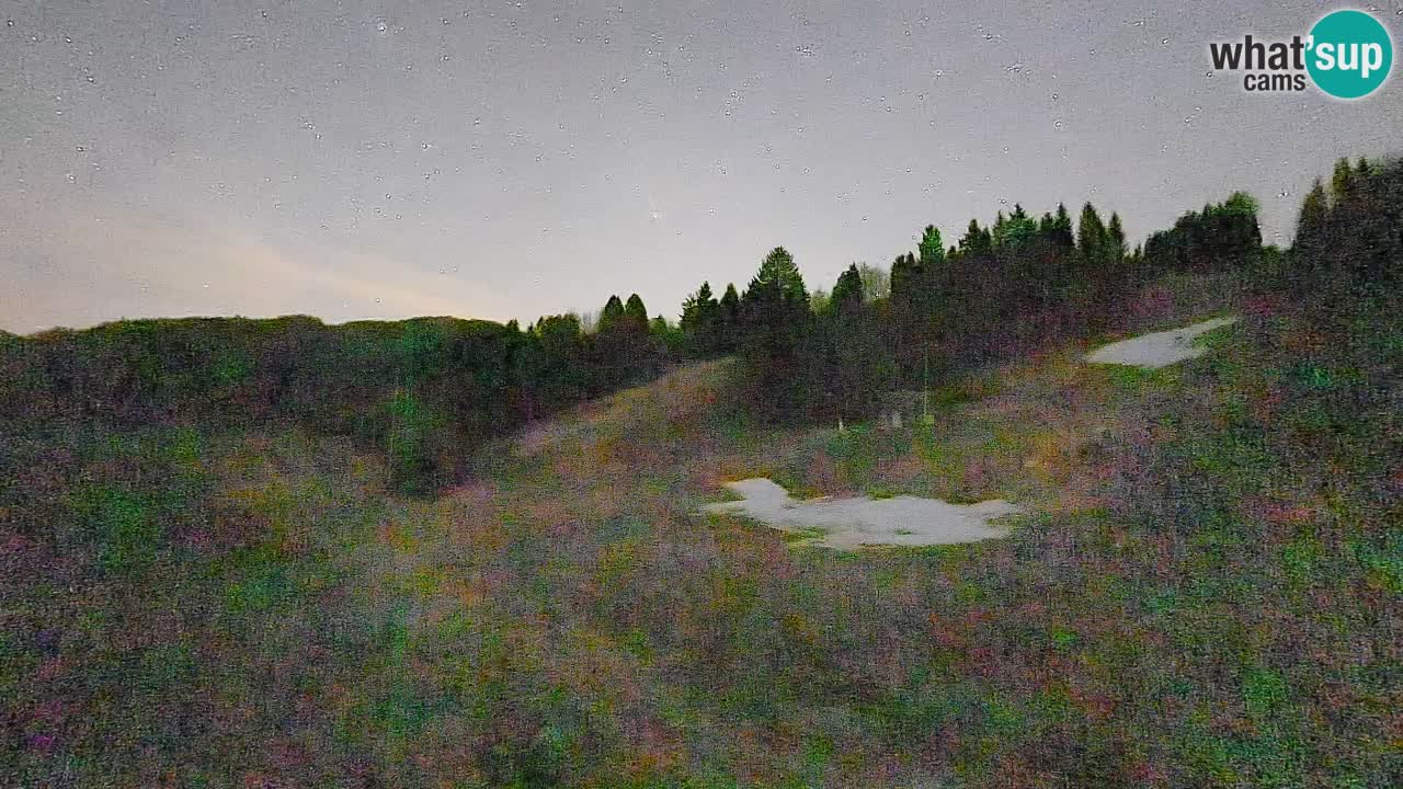 Webcam Smučišče Senožeta – Stazione sciistica a Srednja Vas vicino Bohinj