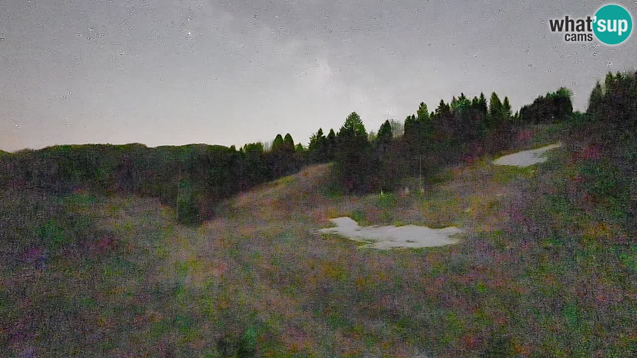 Webcam Smučišče Senožeta – Ski Resort Live View near Bohinj