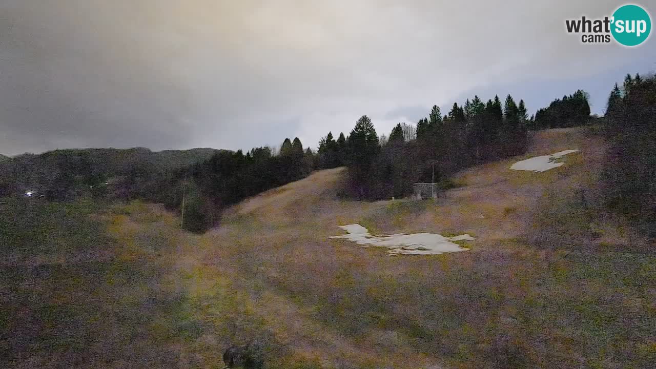 Webcam Smučišče Senožeta – Skigebiet in Srednja Vas bei Bohinj