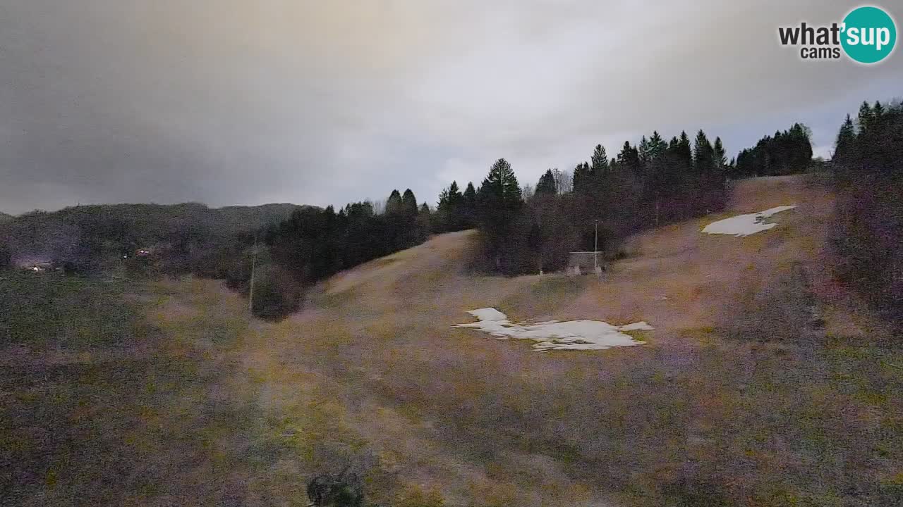 Webcam Smučišče Senožeta – Skigebiet in Srednja Vas bei Bohinj