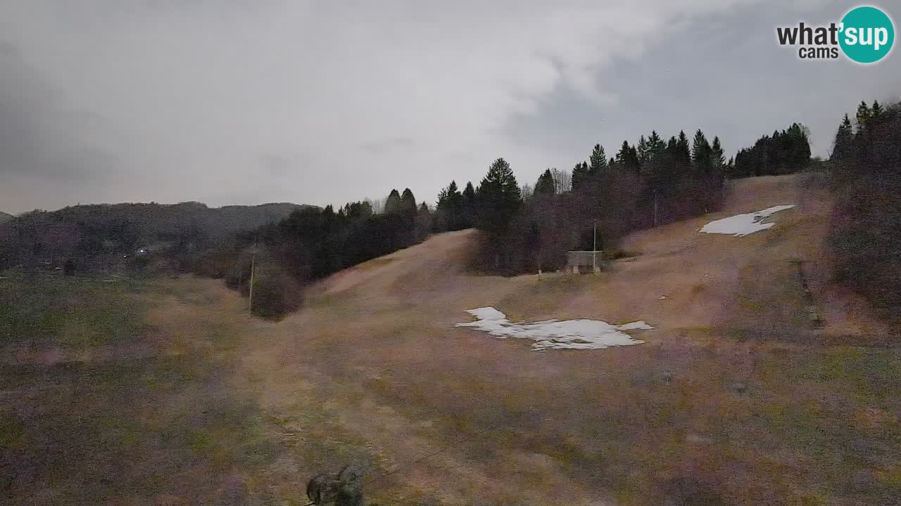 Webcam Smučišče Senožeta – Ski Resort Live View near Bohinj