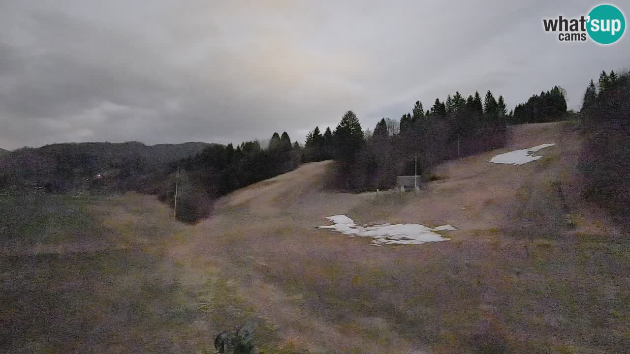 Webcam Smučišče Senožeta – Ski Resort Live View near Bohinj