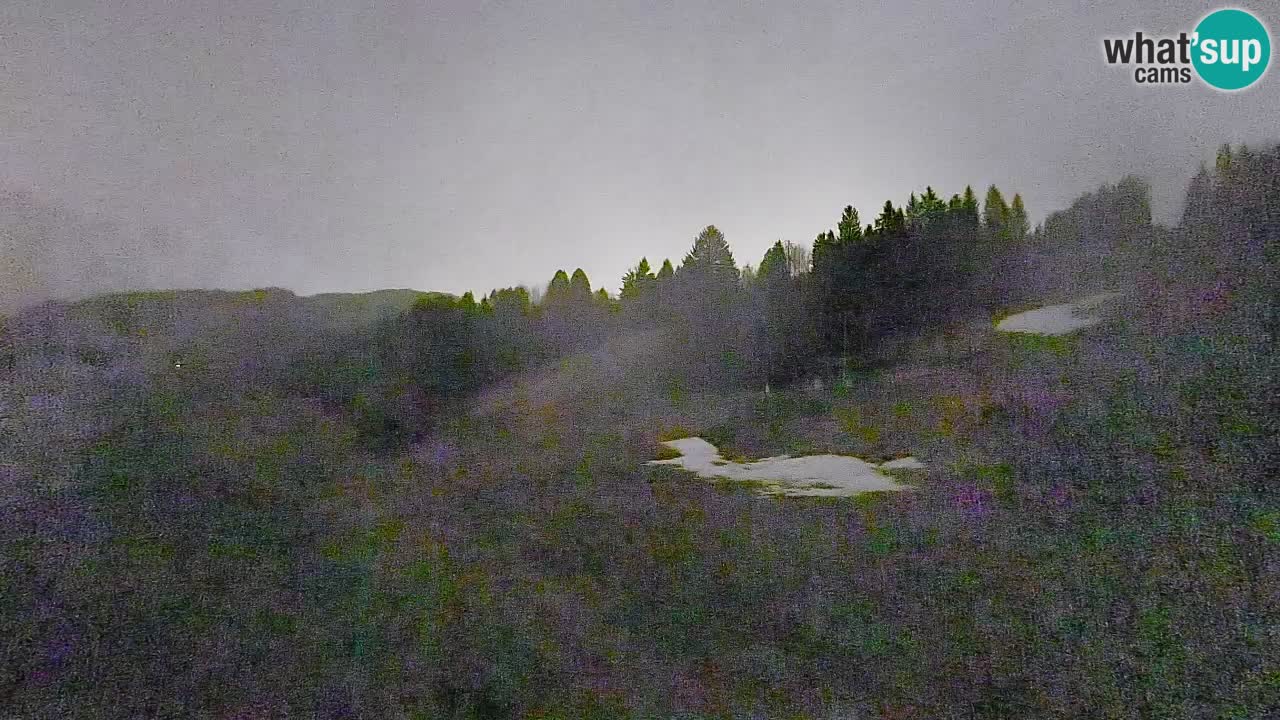 Webcam Smučišče Senožeta – Stazione sciistica a Srednja Vas vicino Bohinj